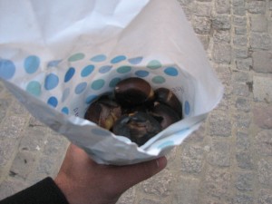 The chestnuts, or "marrons"