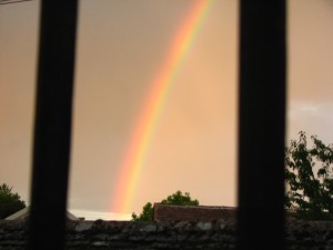 From our kitchen window